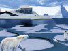 Polarkonferansen