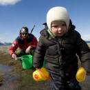 Ruvdnaprinsabeara&#154; lei moadde vahku Svalbárddas geassemánu 2008 (Govva: Veronica Melå, Gonagasla&#154; hoavva)