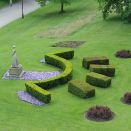 Beplantningen bak statuen av Dronning Maud danner et diadem. Govva: Liv Osmundsen, Gonagasla&#154; hoavva.