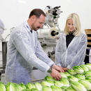 Kronprinsen og Kronprinsessen fikk prøve seg på salatpakking på Viken Gartneri. Foto: Berit Roald, NTB scanpix