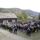 Ullinsvin. Govva: Tom Hansen, Hansenfoto.no