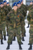 Prinsessen dimitterer