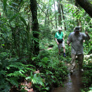 Árvevuovddis (Govva: Rainforest Foundation Norway / ISA Brazil)