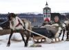 Røros: Reinslede