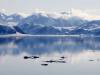 Svalbard: 80 grader nord