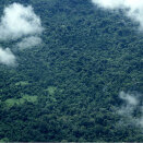 Sullii diimmu girdimátkki Boa Vista gávpogis, ja de seaivváda Gonagas Harald unna girdinseaivunbáikká&#158;ii ju&#331;gelis (Govva: Rainforest Foundation Norway / ISA Brazil)
