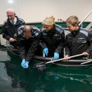 På rensefiskanlegget fikk Kronprinsparet selv fange og mate rognkjeks. De små fiskene er en stor ressurs i kampen mot lakselus. Foto: Berit Roald, NTB scanpix