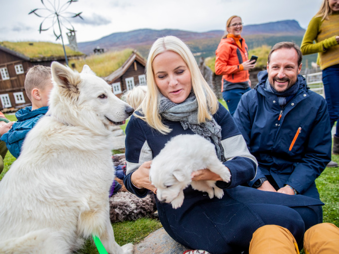 Ruvdnaprinsabárra dearvvaheaba muhtun beatnagiid. Govva: Stian Lysberg Solum / NTB scanpix