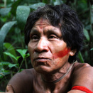 Bivdit fitne Gonagasain arvevuovddis. (Foto: Rainforest Foundation Norway / ISA Brazil)