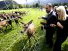 Sogn ja Fjordane: Svanøy