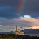 I Kalvåg en tidlig junimorgen 2017. Foto: Harald Mikal Halvorsen.