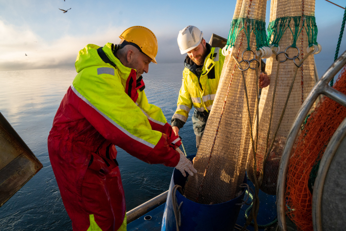 Ketil Hylland klargjør dagens fangst for opptelling. Foto: Simen Løvberg Sund / Det kongelige hoff