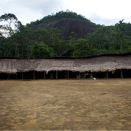 Olles Demini gilli lea stuora máilmmi, jorba viessu mas lea rabas &#154;illju gasku. (Govva: Rainforest Foundation Norway / ISA Brazil)