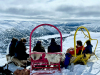 KPP 50: Hovden