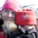 Ruvdnaprinsabeara&#154; lei moadde vahku Svalbárddas geassemánu 2008 (Govva: Veronica Melå, Gonagasla&#154; hoavva)