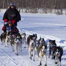 13. mars: Kronprins Haakon får prøve å kjøre hundeslede med Lars Monsen som passasjer (Foto: Jan Helmer Olsen / Scanpix)