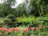 Slottsparken: Broen over isdammen