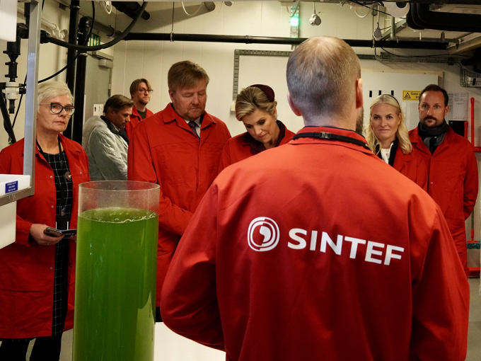 Norgga planktonteknologiija guovddáža laboratorias beasai gonagaslaš joavku gullat eanet das mot debbuid ja stáraid sáhttá gilvit vai šaddet borramuššan olbmuide ja elliide. Govven: Simen Løvberg Sund, Gonagaslaš hoavva.